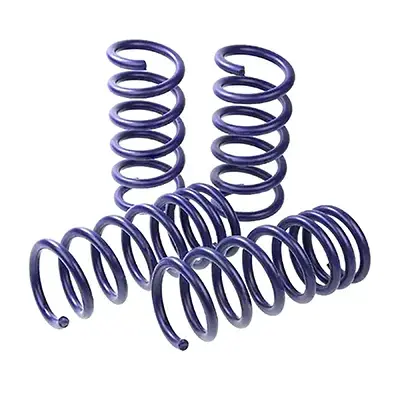 Lowering Springs