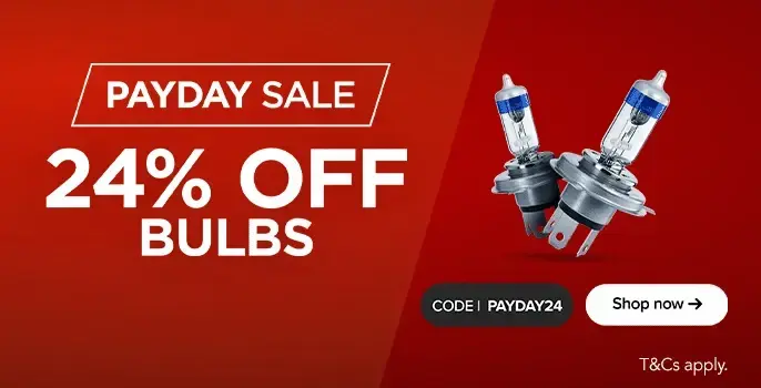 Save 24% on Bulbs with code PAYDAY24