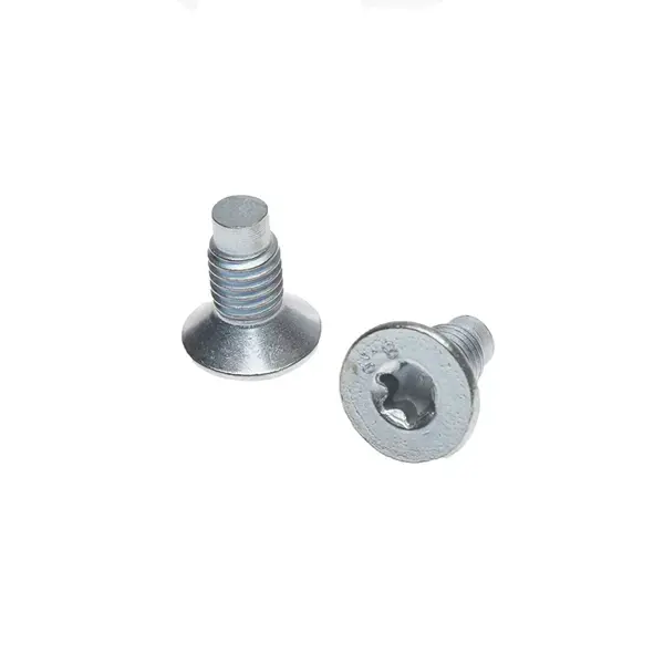 Pagid Brake Disc Screws