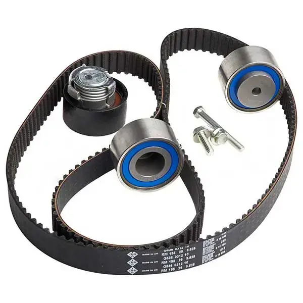 Ina Timing Belt Kit