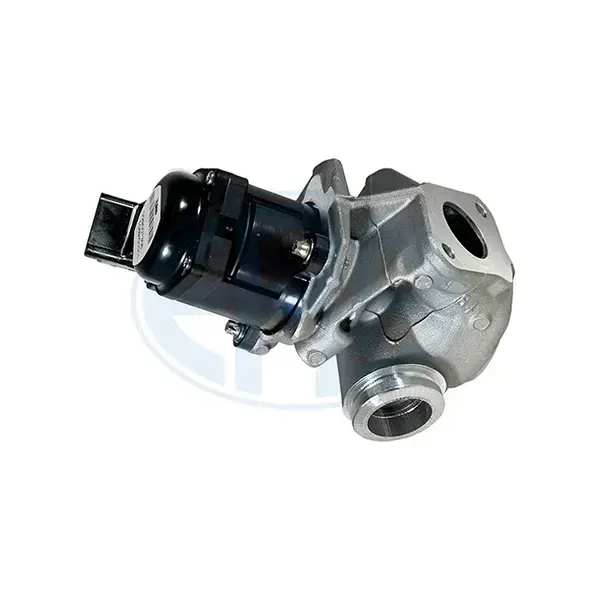 ERA EGR Valve