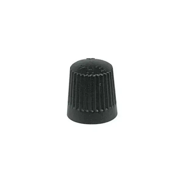 Valve Cap Car Plastic AV (100)