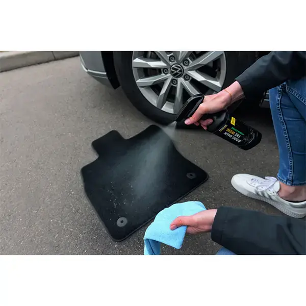 Karcher Interior Cleaner