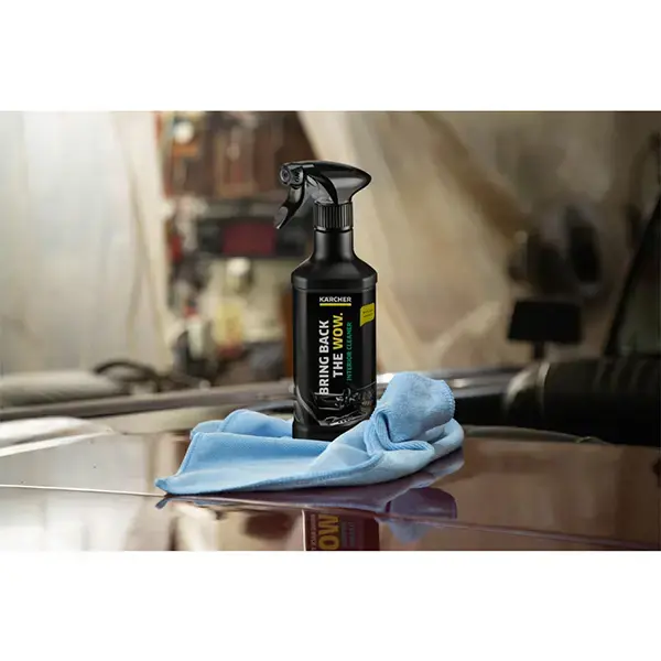 Karcher Interior Cleaner