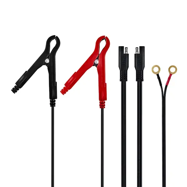 Ring Auto 8A Smart Charger and Battery Maintainer RSC808