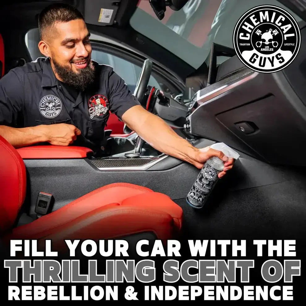 Chemical Guys Black Frost Air Freshener & Odor Eliminator (16oz)
