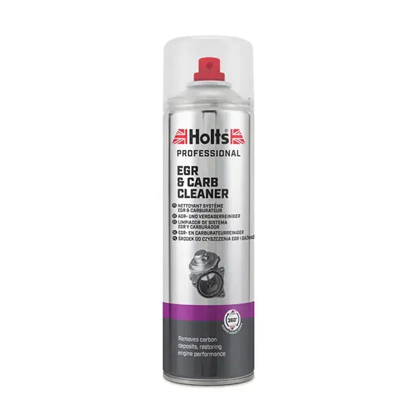 Holts Professional Carburettor & Egr Cleaner 500ml