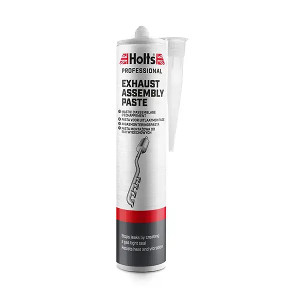 Holts Holts Exhaust Assembly Paste 300Ml