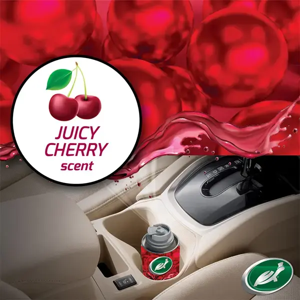 Turtlewax Odor-X Whole Car Blast 100ml Cherry