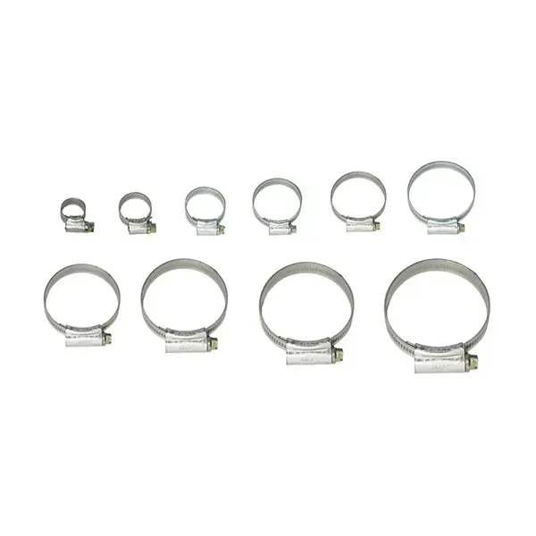 Pearl Hose Clip Size OOO Qty.2