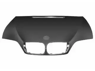 Platinum Plus Bonnet