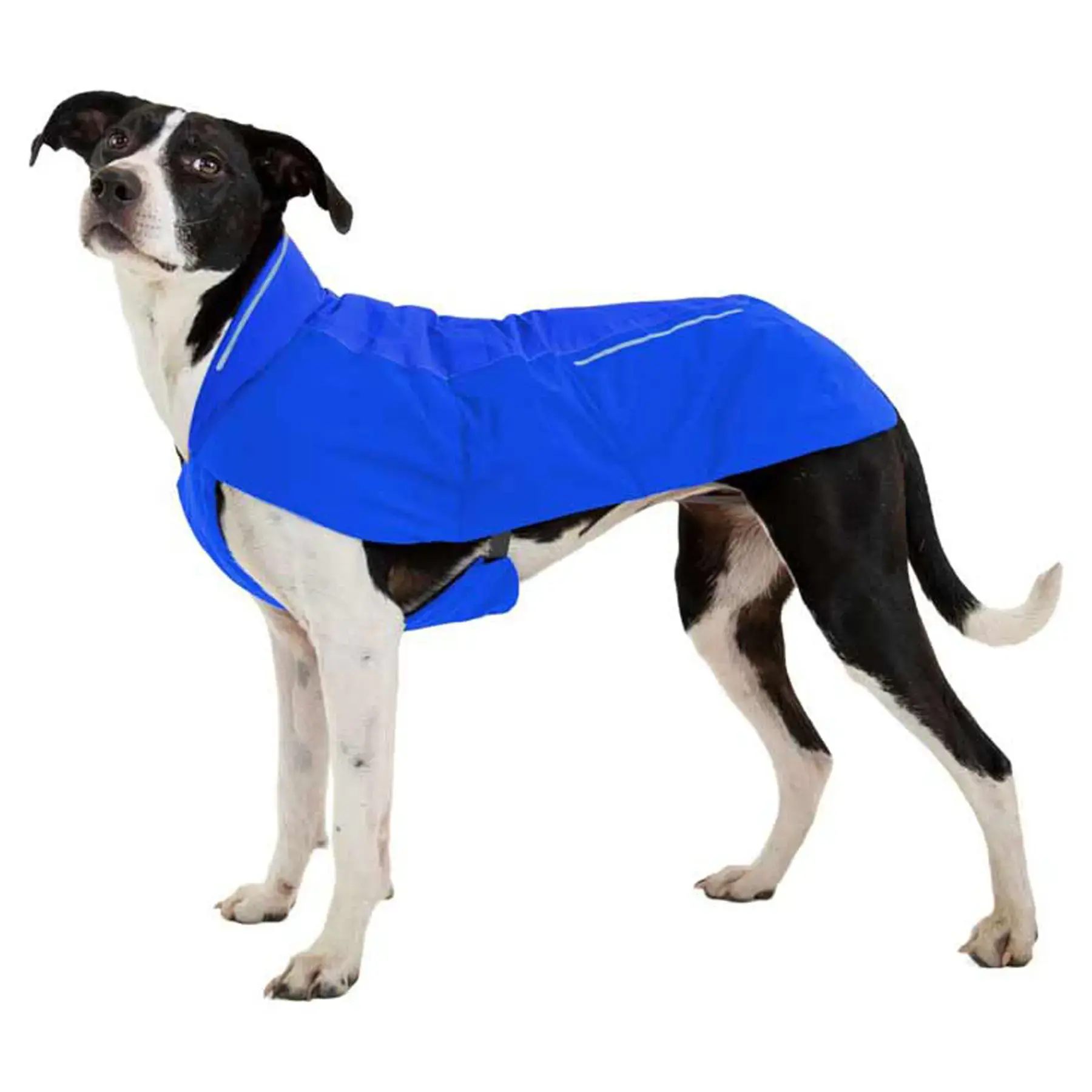 Ruffwear Vert Dog Jacket in Blue Pool (Medium)